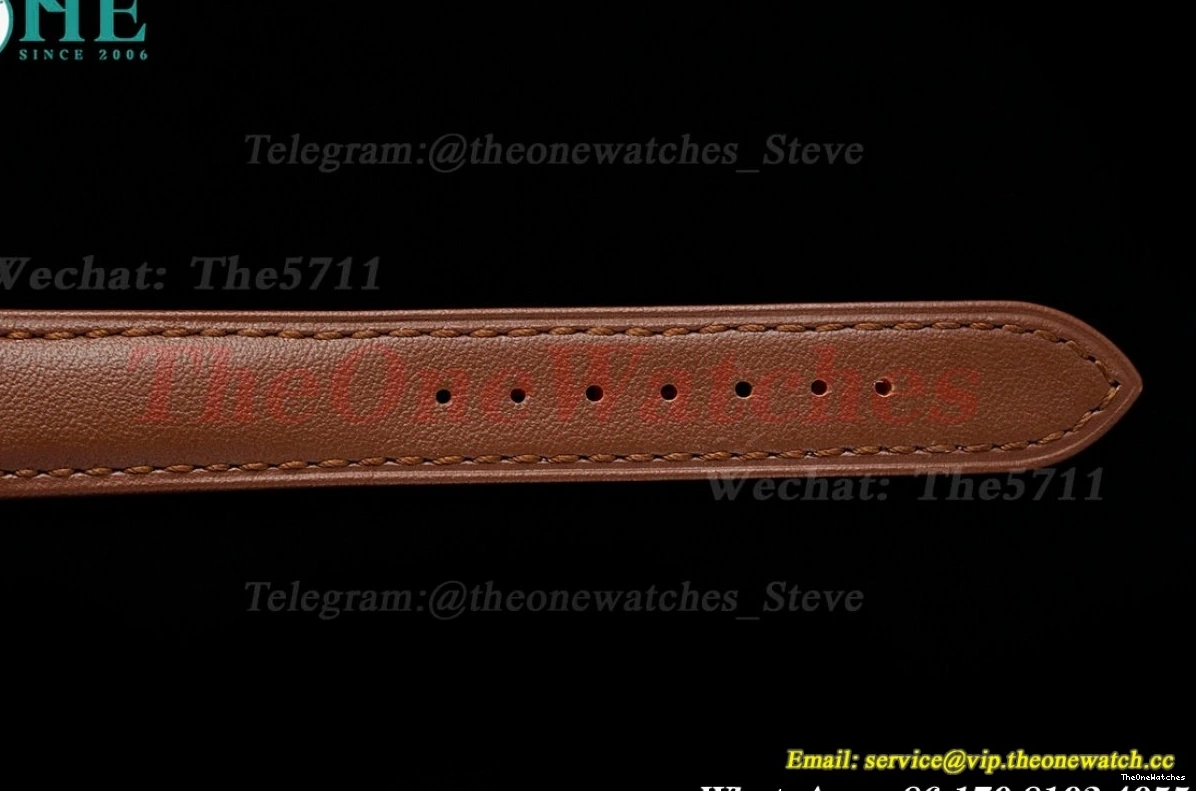 LE AF Dumont RG Silver Dial Brown Santos Quartz 1203